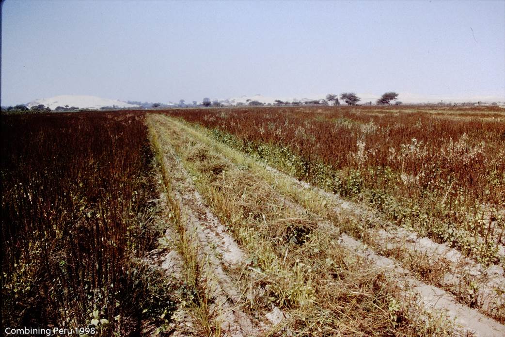 Combining Peru 1998